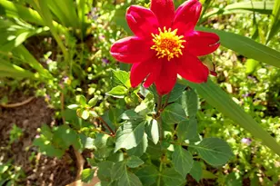 2601 Ridgewood Ln, Albany, GA 31707 - Photo 56