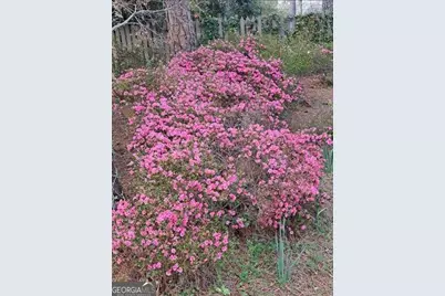 2601 Ridgewood Lane, Albany, GA 31707 - Photo 60