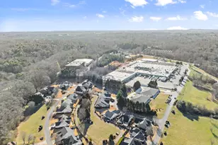 117 Village Green Way, Clarkesville, GA 30523 - Photo 40