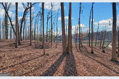 720 Knottywood Drive, Lavonia, GA 30553 - Photo 10