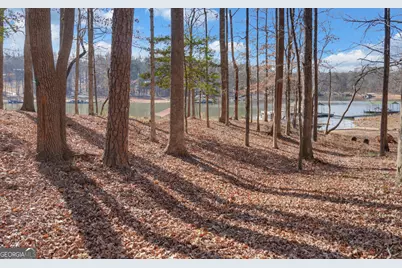 720 Knottywood Drive, Lavonia, GA 30553 - Photo 2