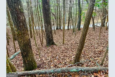 914 Villa Drive, Ellijay, GA 30540 - Photo 4