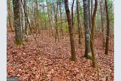 914 Villa Drive, Ellijay, GA 30540 - Photo 14