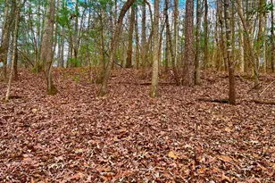 914 Villa Dr, Ellijay, GA 30540 - Photo 1