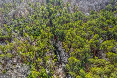 119 Sibley Road NE, Milledgeville, GA 31061 - Photo 6