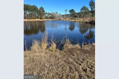 0 Marchants Dairy Rd, Rhine, GA 31077 - Photo 1