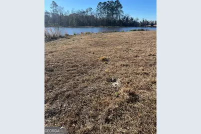 0 Marchants Dairy Rd, Rhine, GA 31077 - Photo 6