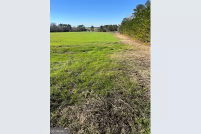 0 Marchants Dairy Rd, Rhine, GA 31077 - Photo 10