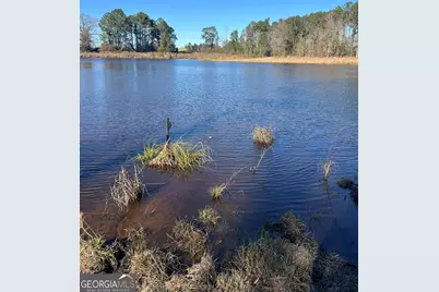 0 Marchants Dairy Rd, Rhine, GA 31077 - Photo 2