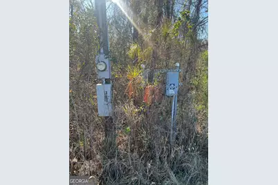 0 Marchants Dairy Rd, Rhine, GA 31077 - Photo 12