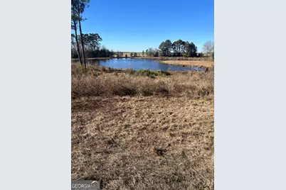 0 Marchants Dairy Rd, Rhine, GA 31077 - Photo 4