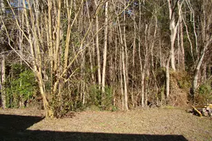 105 Eagles Nest, Brunswick, GA 31525 - Photo 18