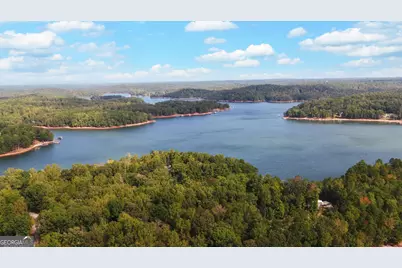 396 Greenleaf Drive, Lavonia, GA 30553 - Photo 72