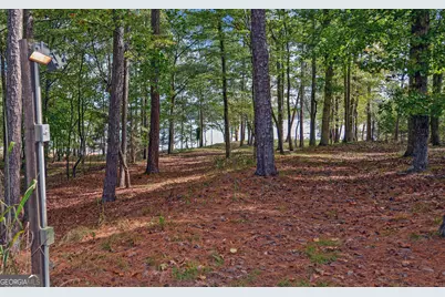 396 Greenleaf Drive, Lavonia, GA 30553 - Photo 56