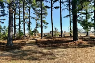 968 St Mathews Church Rd, Metter, GA 30439 - Photo 30