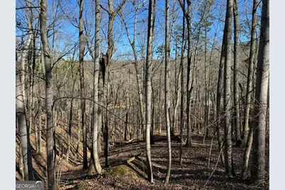 70 Geyser Court, Ranger, GA 30734 - Photo 4