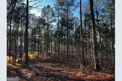 2285 Cherokee Road, Comer, GA 30629 - Photo 42