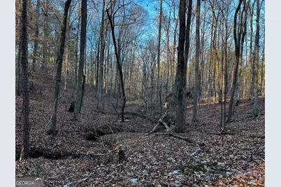 2285 Cherokee Road, Comer, GA 30629 - Photo 44