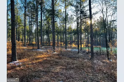 2285 Cherokee Road, Comer, GA 30629 - Photo 34