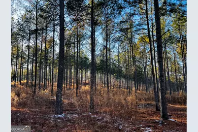 2285 Cherokee Road, Comer, GA 30629 - Photo 60