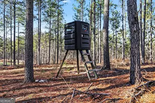 2285 Cherokee Rd, Comer, GA 30629 - Photo 1