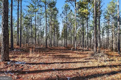 2285 Cherokee Road, Comer, GA 30629 - Photo 10