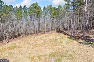 1229 Morgans Run, Monroe, GA 30656 - Photo 48