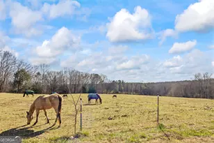 2456 Tex Smith Dr, Elberton, GA 30635 - Photo 84