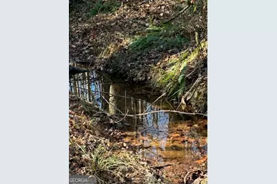 230 Harmony Valley Drive, Alto, GA 30510 - Photo 26