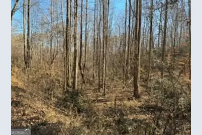 230 Harmony Valley Drive, Alto, GA 30510 - Photo 8