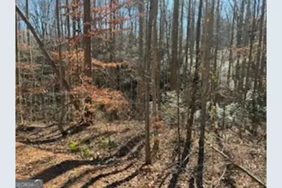 230 Harmony Valley Drive, Alto, GA 30510 - Photo 22