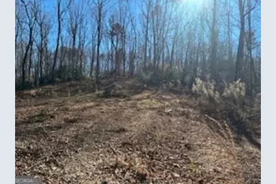 230 Harmony Valley Drive, Alto, GA 30510 - Photo 16