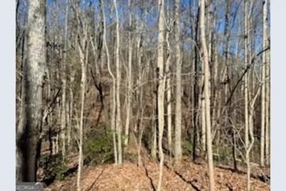 230 Harmony Valley Drive, Alto, GA 30510 - Photo 14