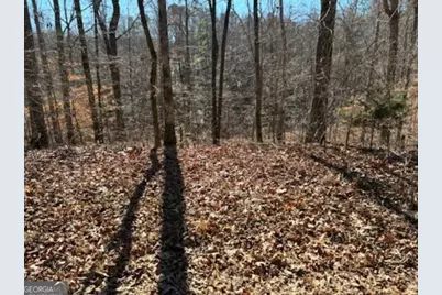 230 Harmony Valley Drive, Alto, GA 30510 - Photo 24