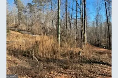 230 Harmony Valley Drive, Alto, GA 30510 - Photo 2