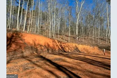 230 Harmony Valley Drive, Alto, GA 30510 - Photo 20