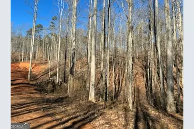 230 Harmony Valley Drive, Alto, GA 30510 - Photo 10