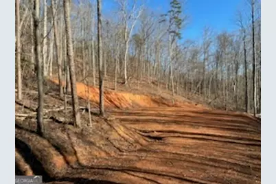 230 Harmony Valley Drive, Alto, GA 30510 - Photo 18