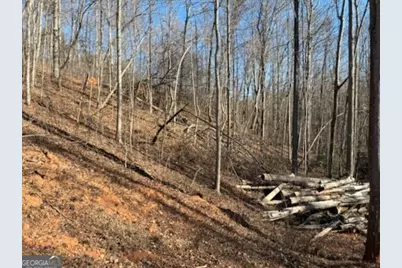 230 Harmony Valley Drive, Alto, GA 30510 - Photo 12