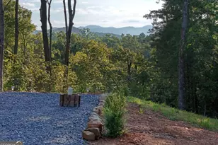 975 Bunker Hill Rd, Blairsville, GA 30512 - Photo 2