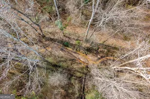 271 Oxmoor, Winterville, GA 30683 - Photo 48