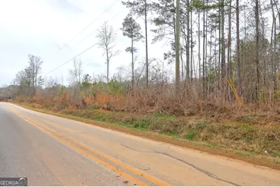 Lot 5 Cochran Road, Madison, GA 30650 - Photo 14