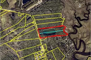 N/A 21 Acres Dover Bluff Rd, Waverly, GA 31565 - Photo 1