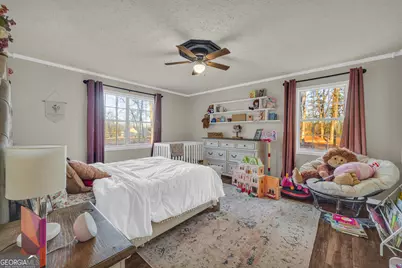 245 Crumps Road, Hartwell, GA 30643 - Photo 52