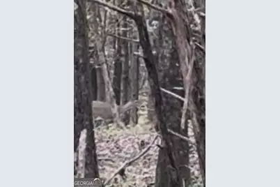 4 Jefferson River Road, Athens, GA 30607 - Photo 6