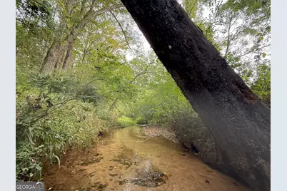 4 Jefferson River Road, Athens, GA 30607 - Photo 14