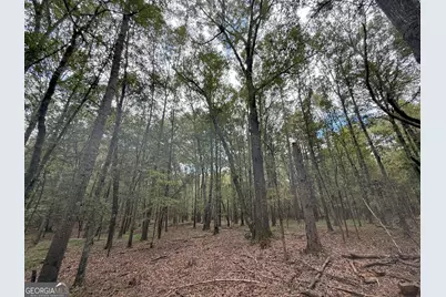 4 Jefferson River Road, Athens, GA 30607 - Photo 20