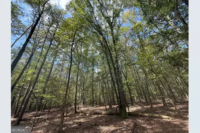 4 Jefferson River Road, Athens, GA 30607 - Photo 4