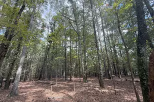 5 Jefferson River Rd, Athens, GA 30607 - Photo 1