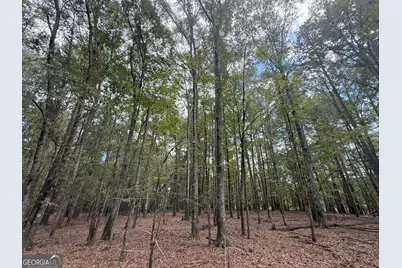 5 Jefferson River Road, Athens, GA 30607 - Photo 2